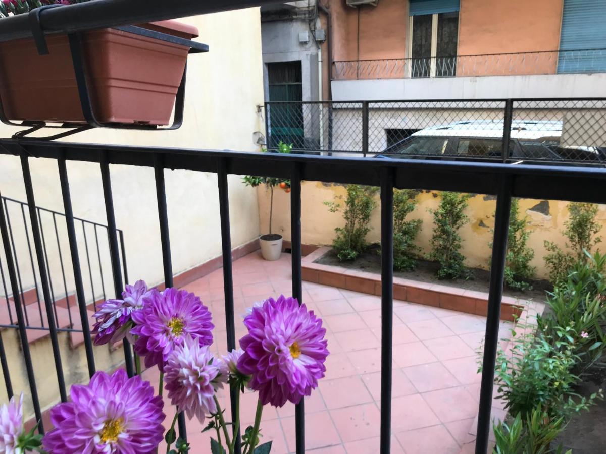 Dr House Apartment CTA Exterior foto